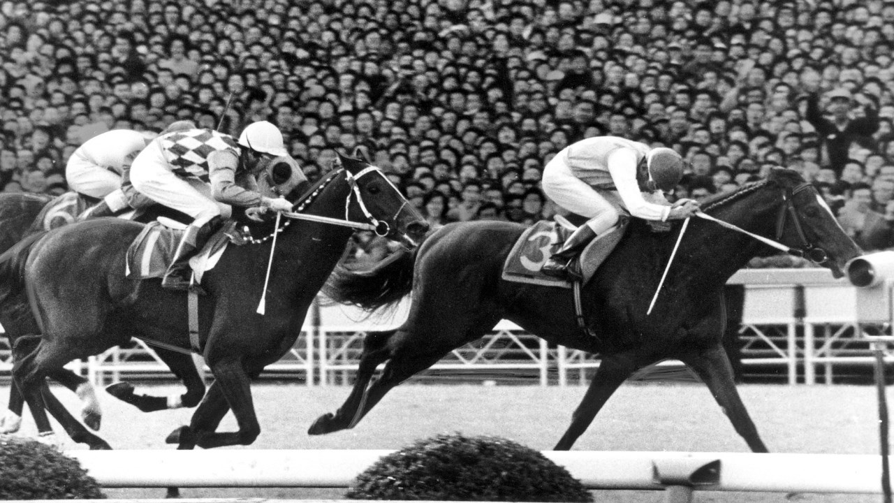 1952年の日本競馬