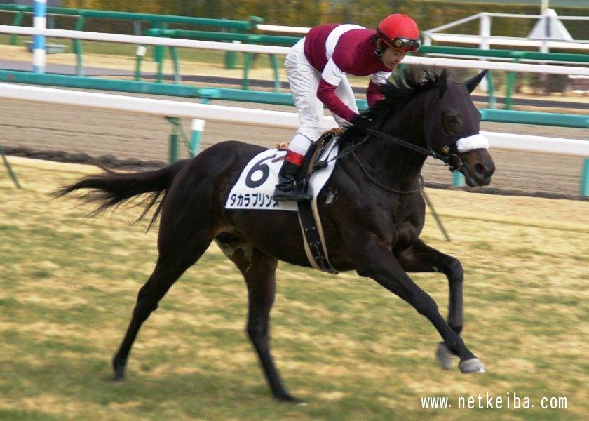タカラプリンス (Takara Prince) | 競走馬データ - netkeiba