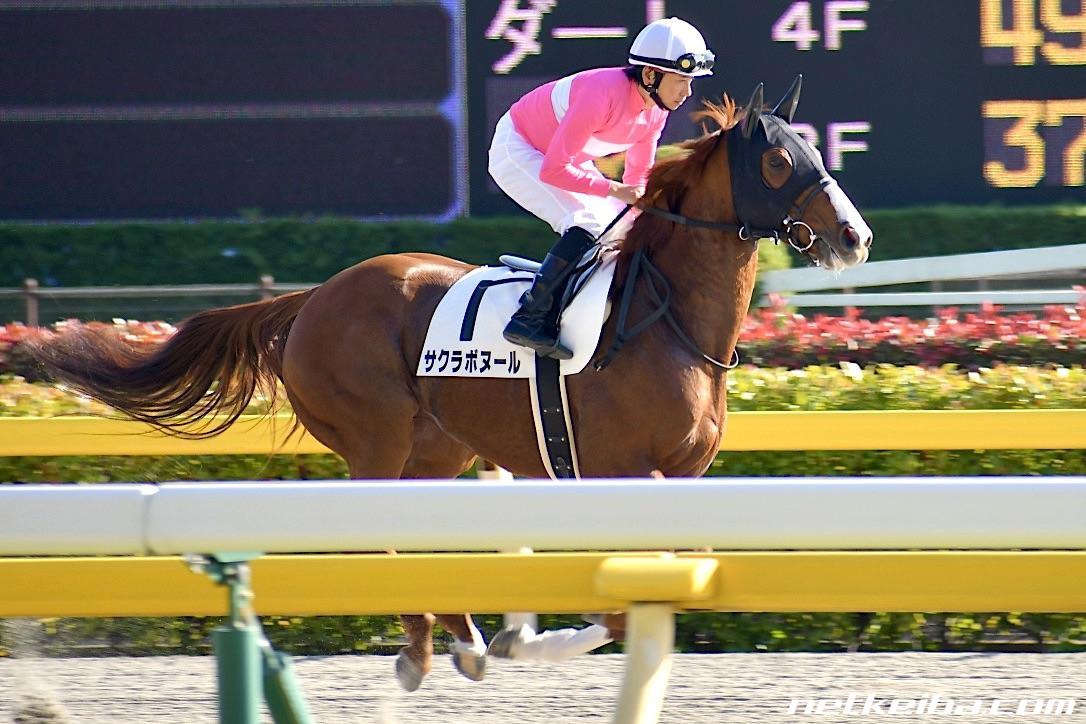 サクラボヌール (Sakura Bonheur) | 競走馬データ - netkeiba.com