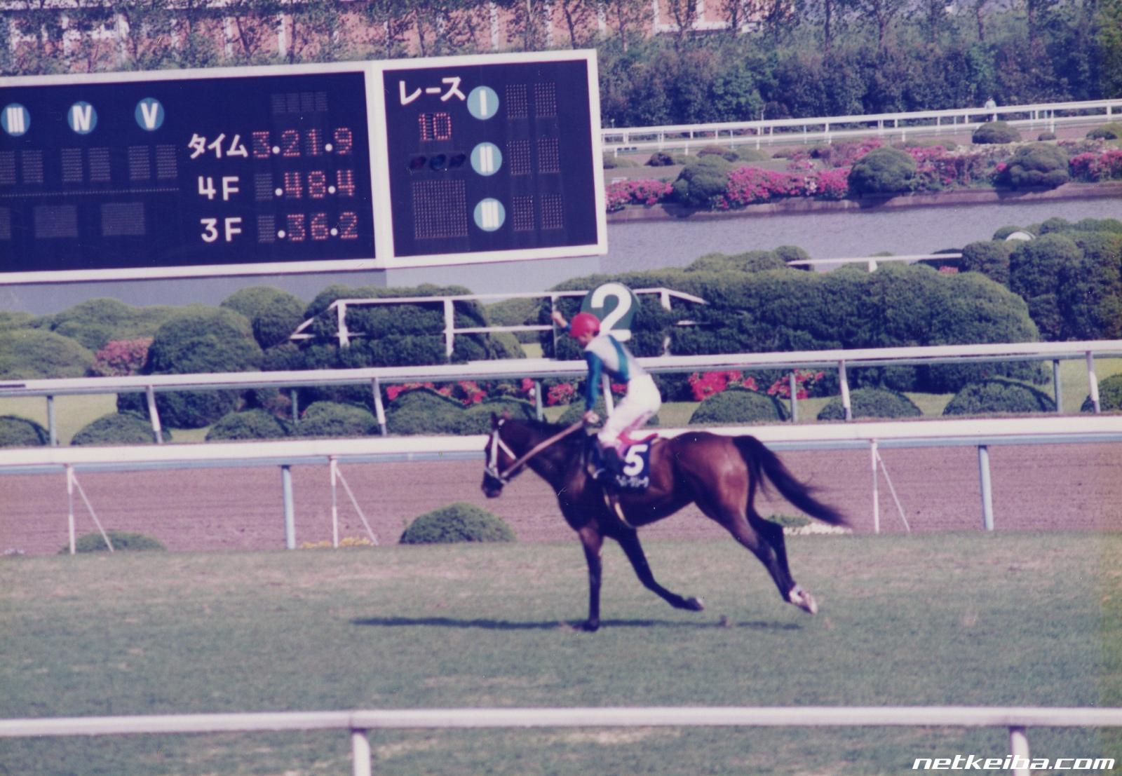 スーパークリークの写真一覧 - netkeiba