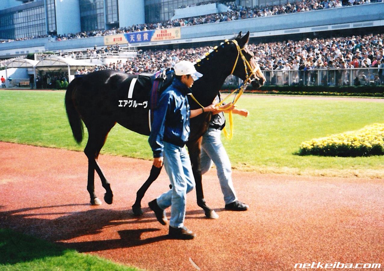 エアグルーヴの写真一覧 - netkeiba