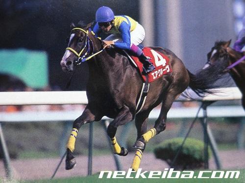 エアグルーヴの写真一覧 - netkeiba