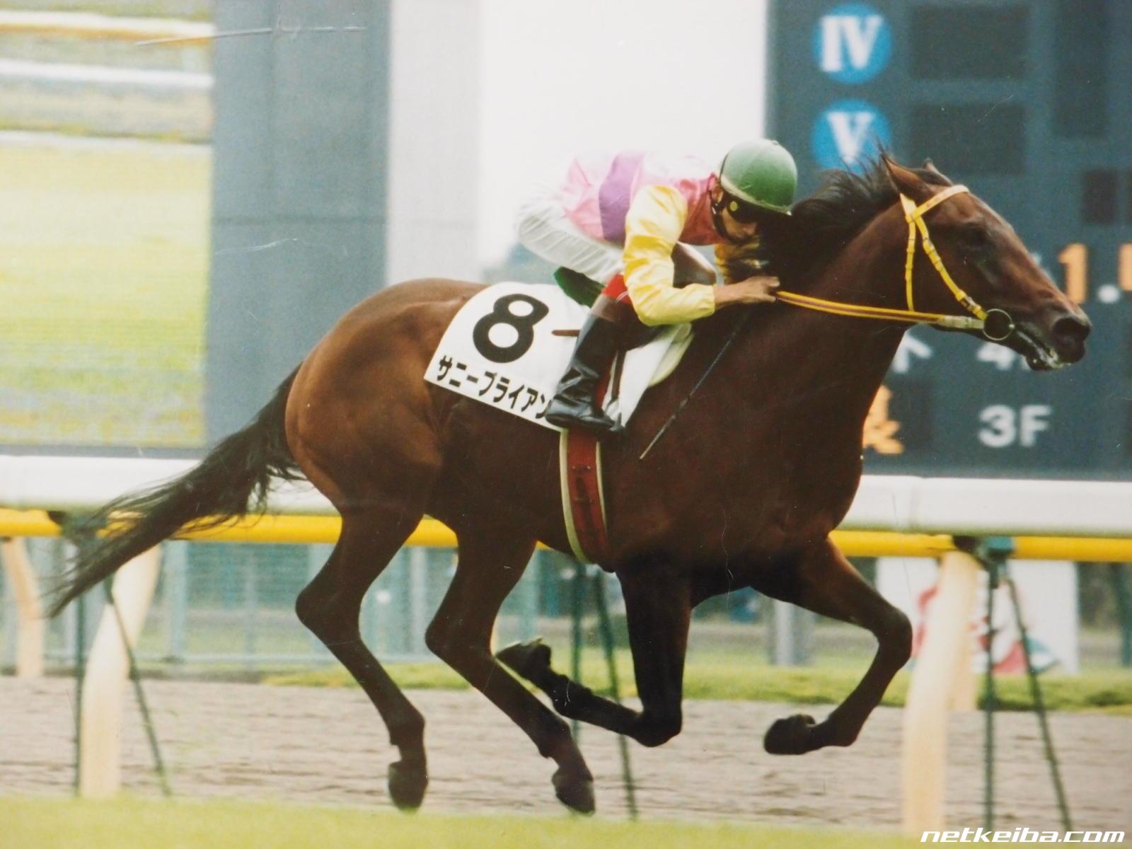 Gallop 週刊100名馬 Vol.69 サニーブライアン その他