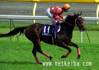 シーキングザパール 武豊 競走馬 写真パネル 額縁入り スポーツ