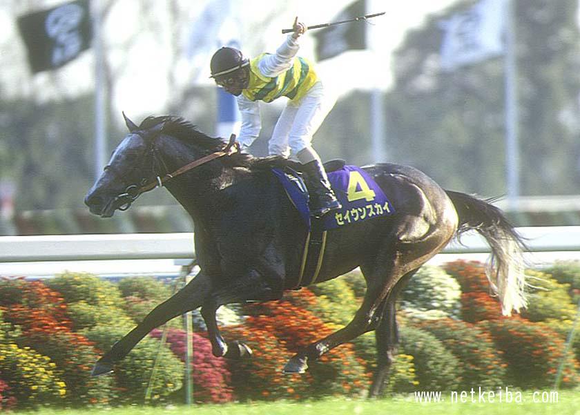 セイウンスカイ 98年  菊花賞 現地的中単勝馬券　ラスト1枚 セイウンスカイ 98年 菊花賞 現地的中単勝馬券 ラスト1枚 1998年