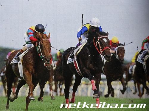 エアシャカールの写真一覧 - netkeiba