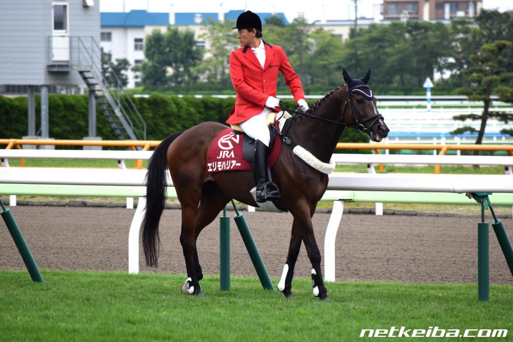 競馬ポスターB1：エリモハリアー 「2014年 第50回 函館記念」
