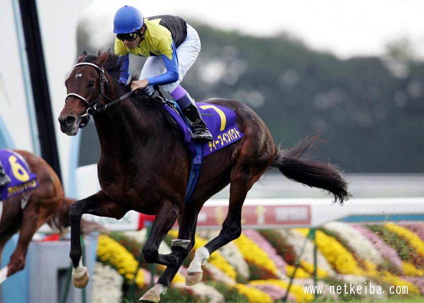 今日の超目玉】 競馬 三冠馬 ナリタブライアン 貴重なクラシック制覇 ...