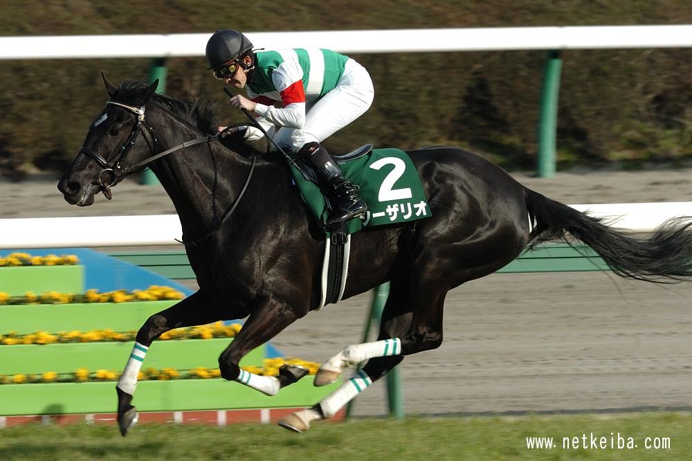 シーザリオ CESARIO 写真集 非売品 フォトブック 競馬