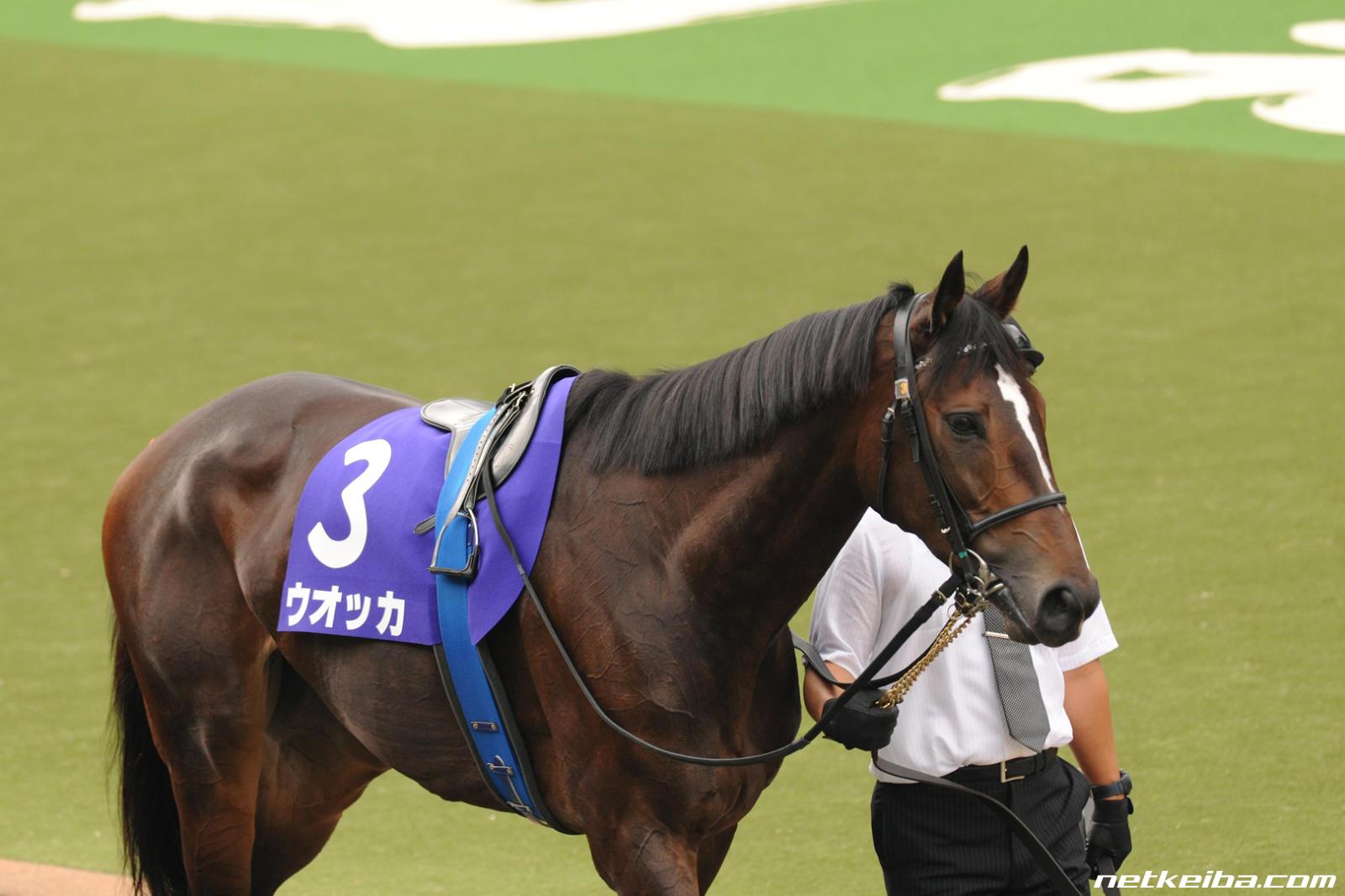 【希少】記念アクリルオブジェ　ディープインパクト・ウォッカ アクリルオブジェ - 競馬グッズの通販サイト ノーザンホース