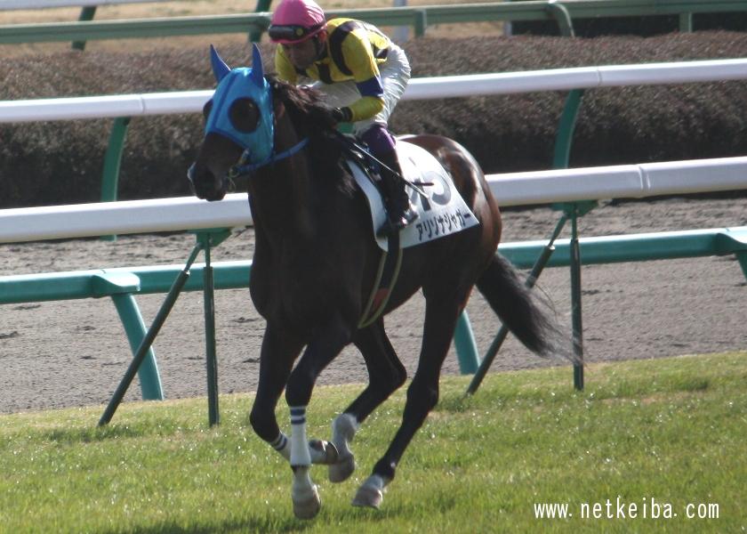 アリゾナジャガーの写真一覧 Netkeiba Com
