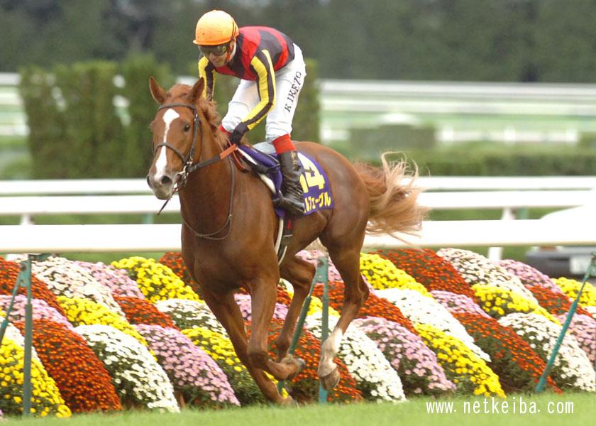 三冠馬 歴代の三冠馬一覧 史上8頭目はコントレイル 競馬まとめ Netkeiba Com