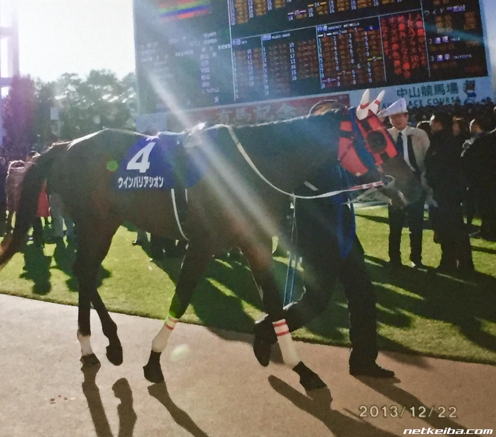 匿名送料無料 懐かしの単勝馬券 現地的中 ☆ウインバリアシオン 他全