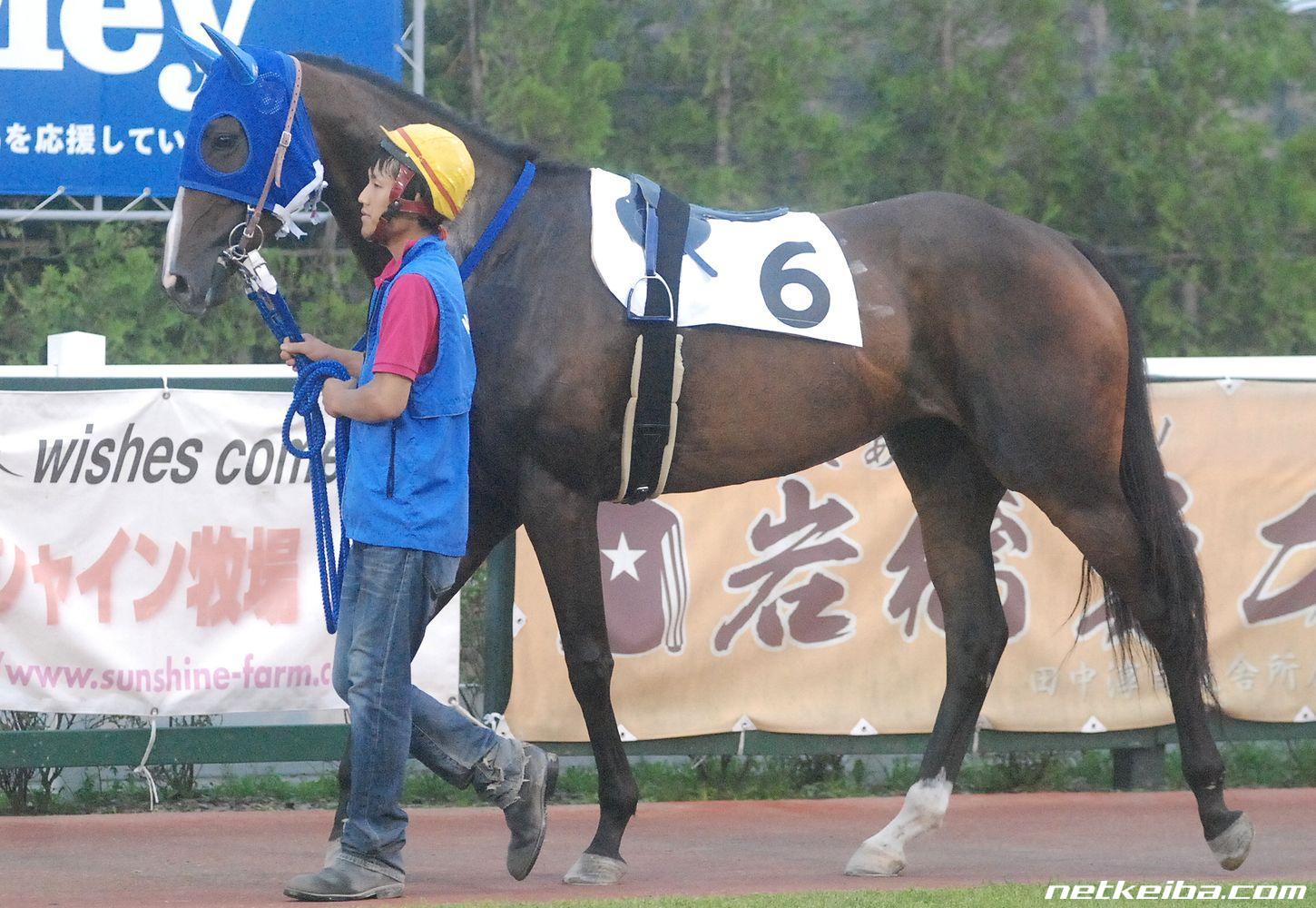 ウイニフレッド 競走馬データ Netkeiba Com ウイニフレッド 競走馬データ Netkeiba Com
