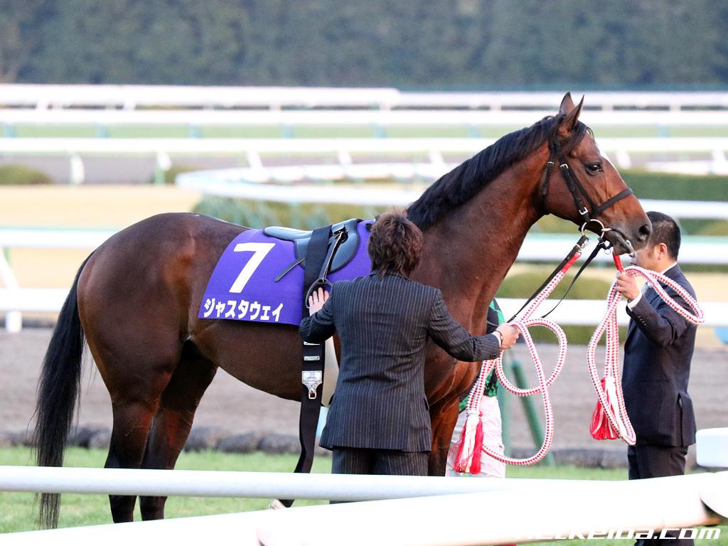 競走馬記念ジャケット ジャスタウェイ