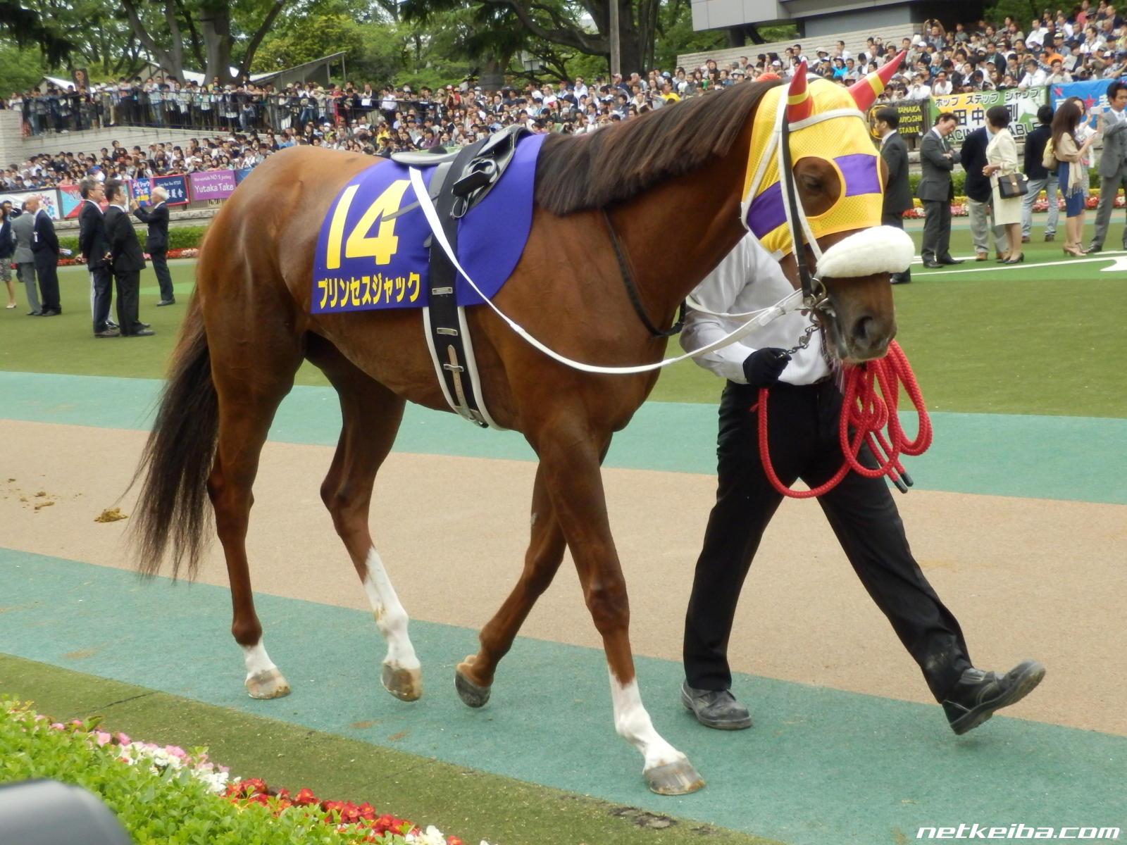 プリンセスジャックの写真一覧 Netkeiba Com