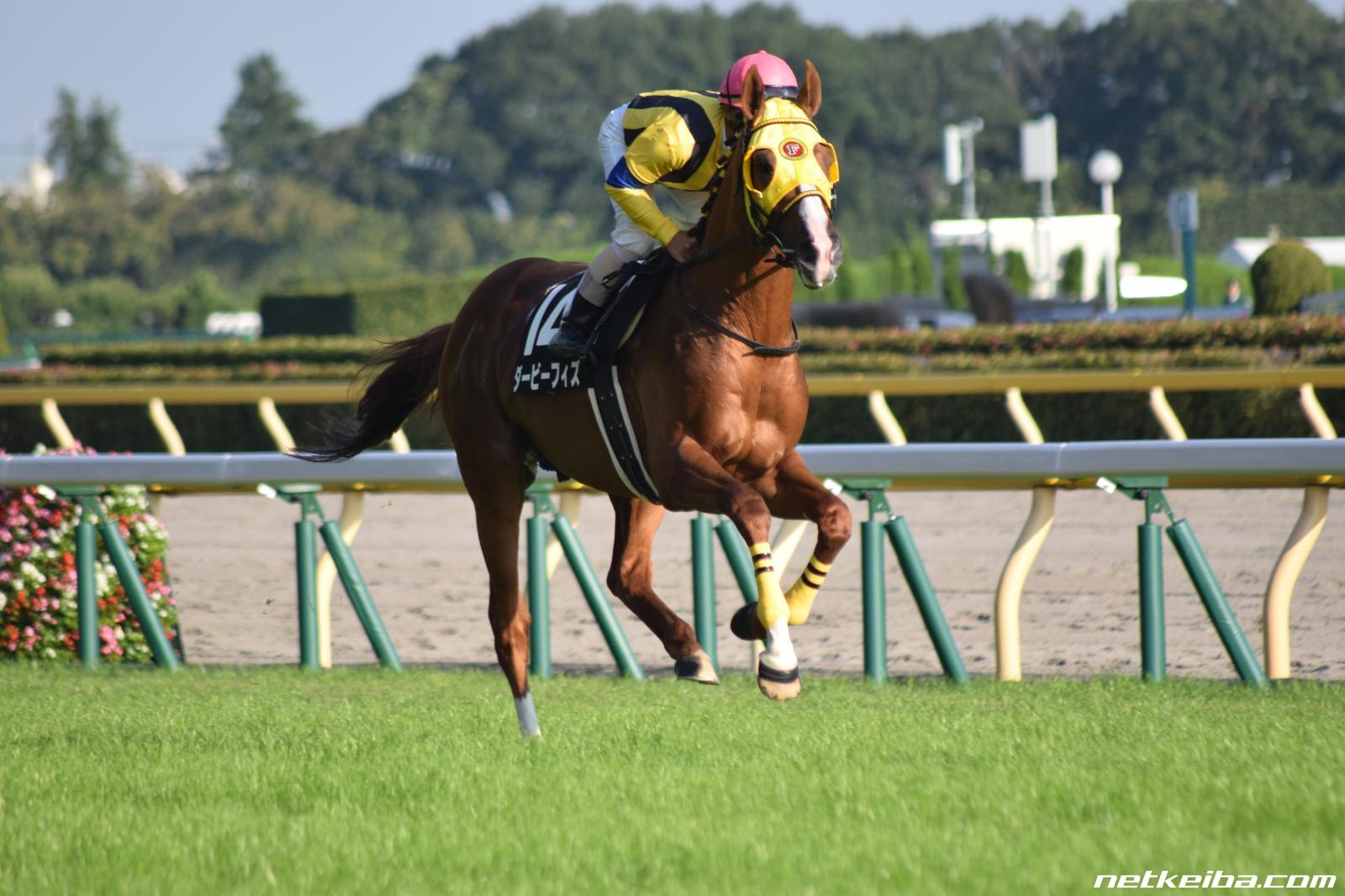 ダービーフィズの写真一覧 Netkeiba Com