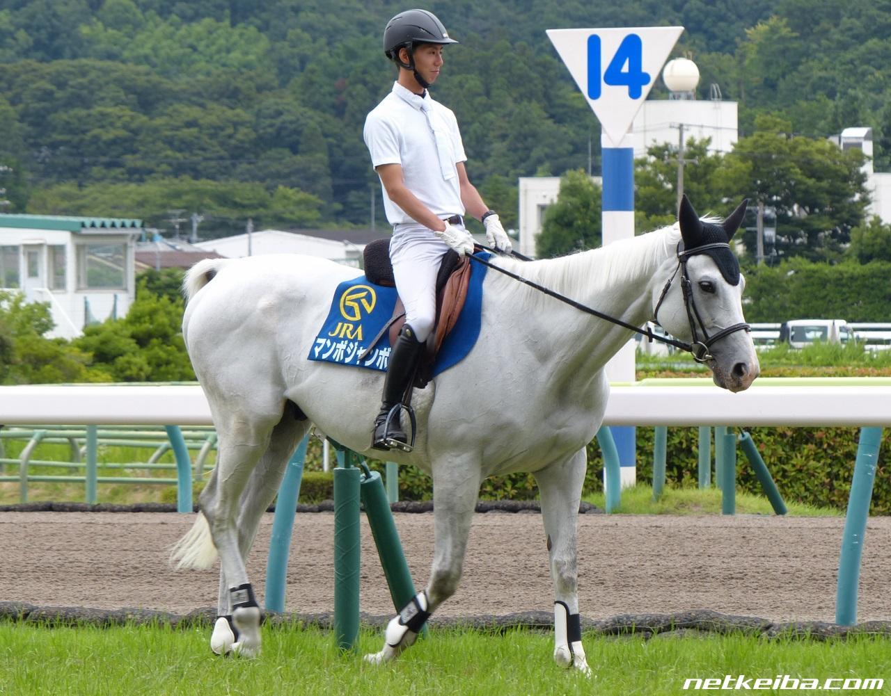 マンボジャンボの写真一覧 Netkeiba Com