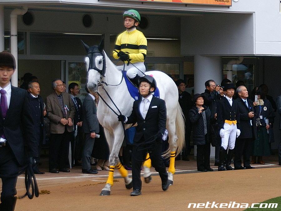 アップトゥデイトの写真一覧 Netkeiba Com