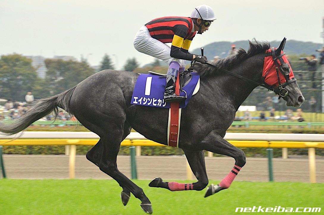 エイシンヒカリ (A Shin Hikari) | 競走馬データ - netkeiba