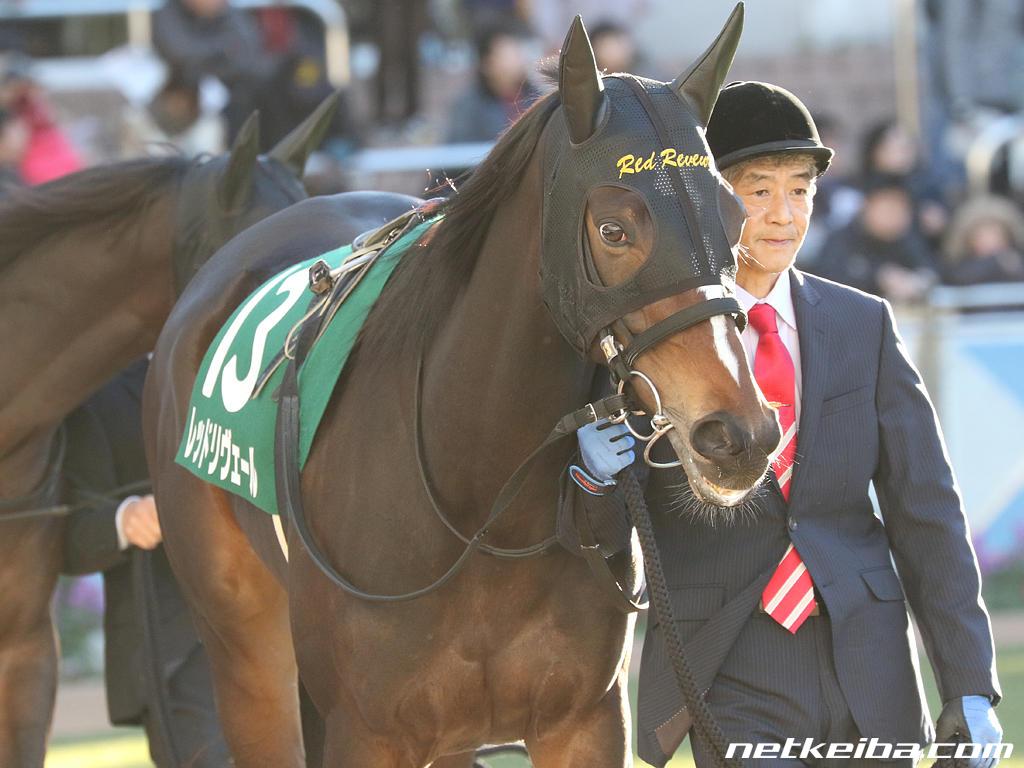 レッドリヴェールの写真一覧 - netkeiba