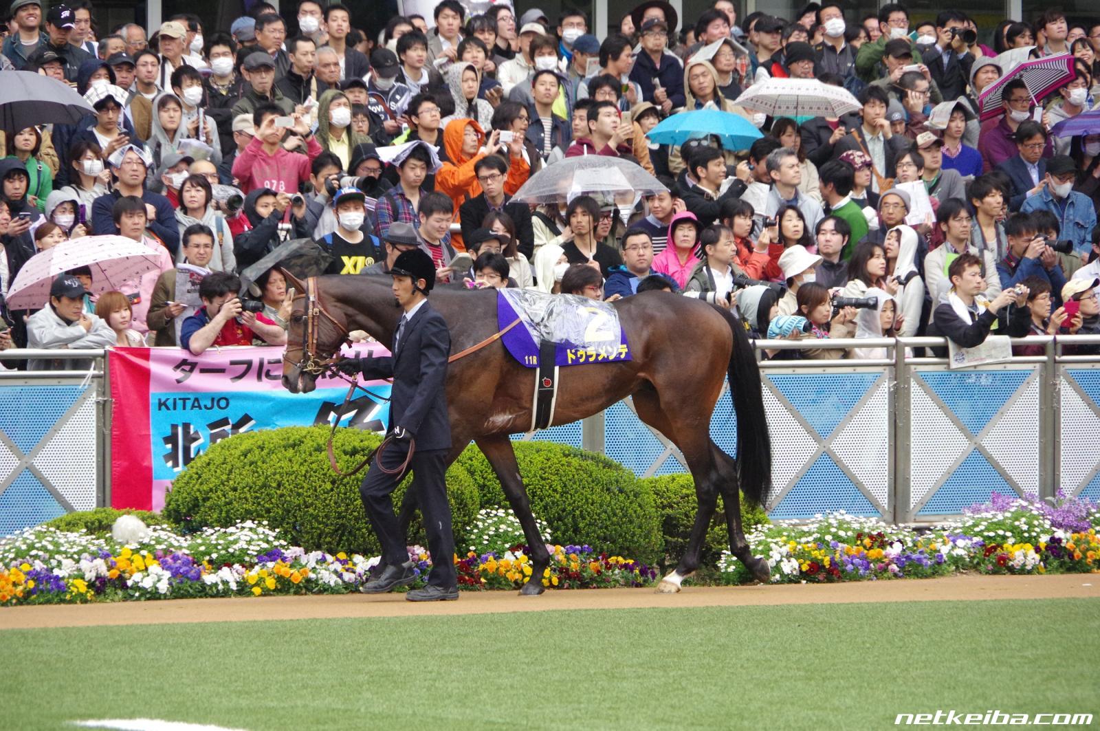 ドゥラメンテゼッケン