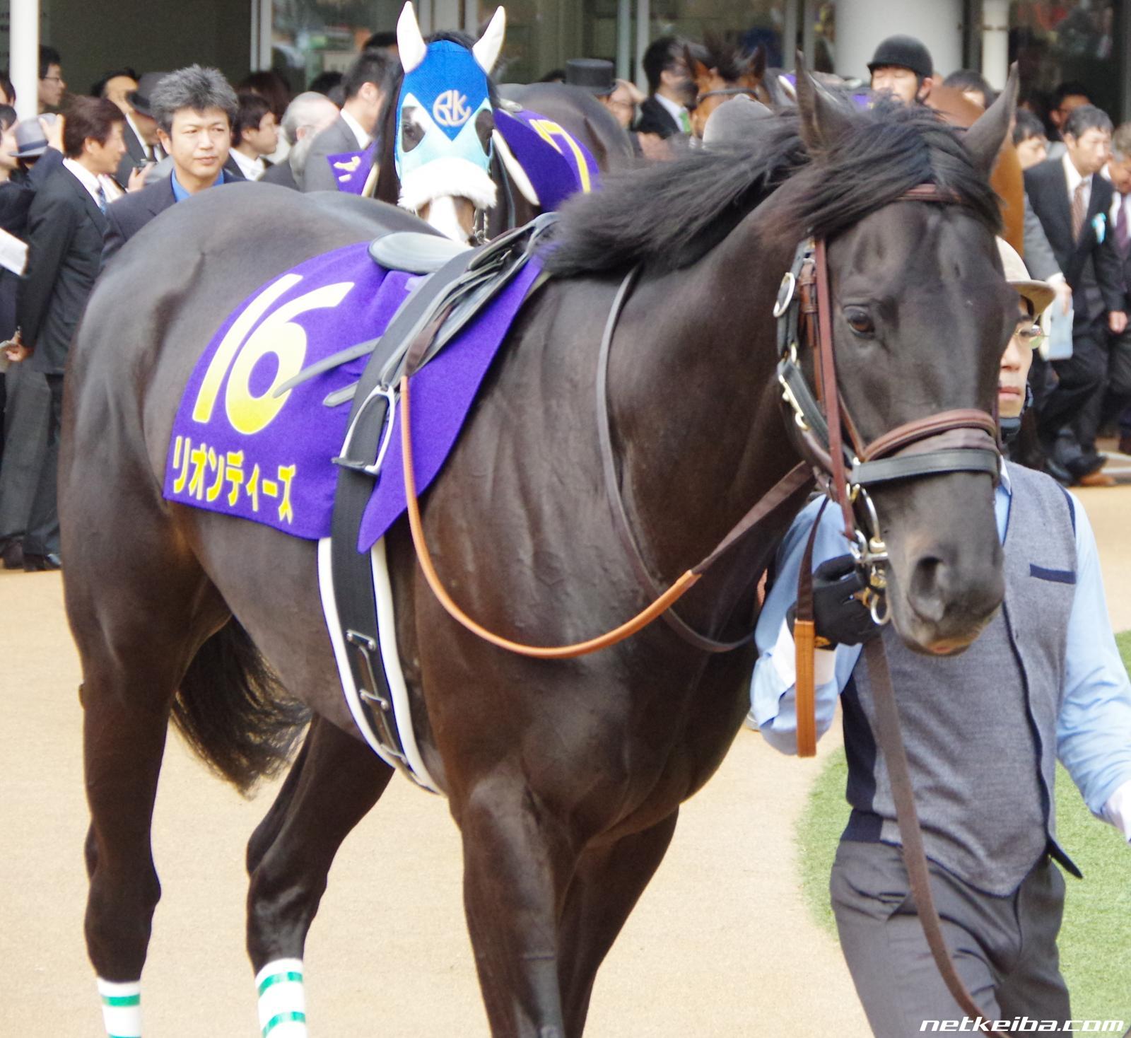 リオンディーズの写真一覧 - netkeiba