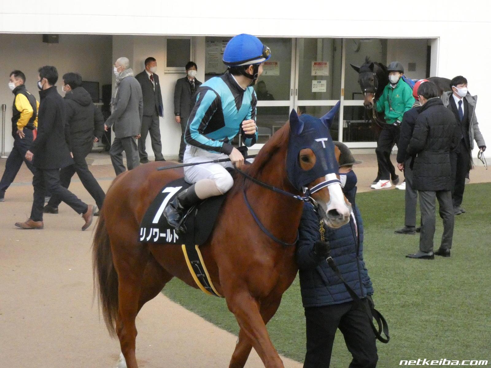 リノワールドの写真一覧 Netkeiba Com