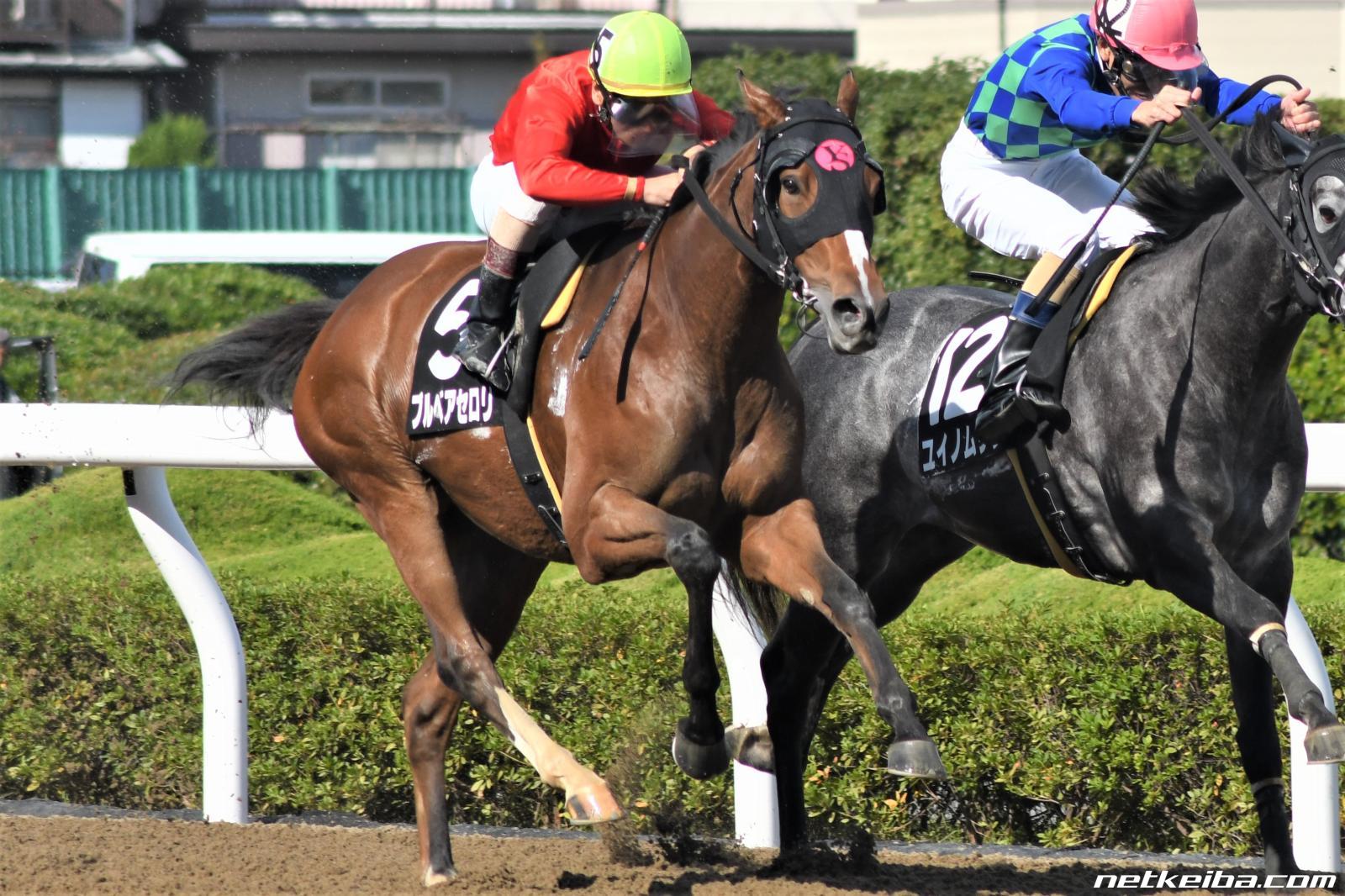 Show 競馬 オサム