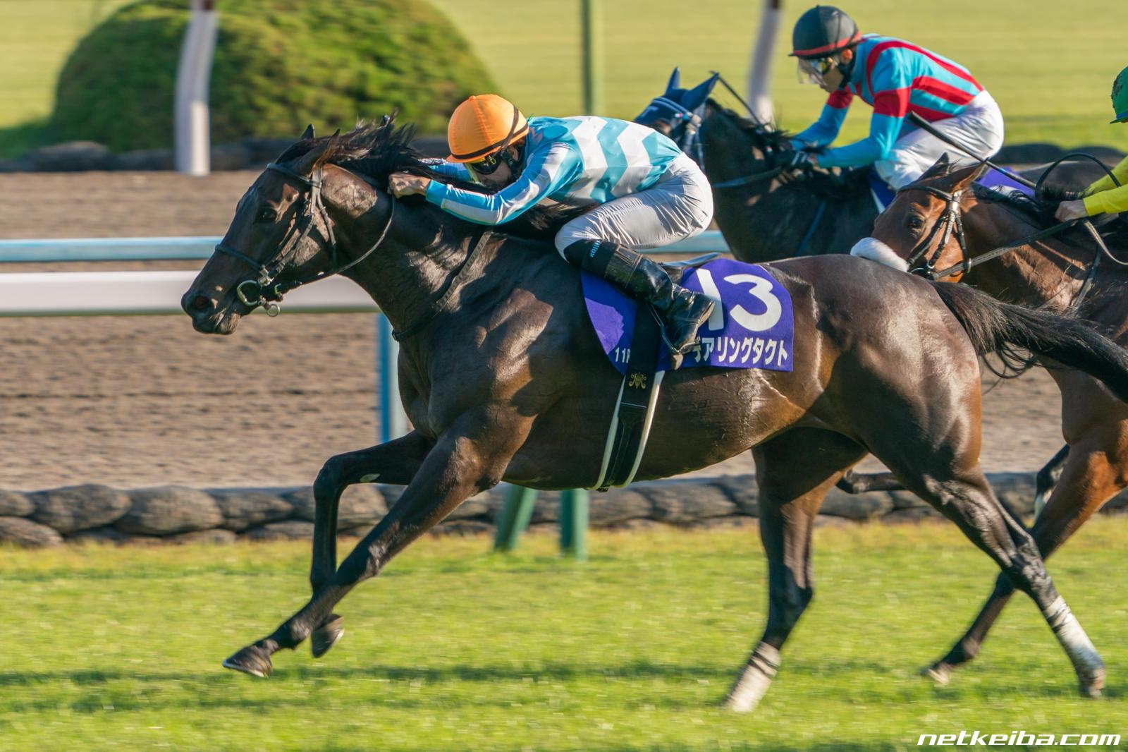 70以上 競馬 壁紙 スマホ Hd壁紙画像のコレクション