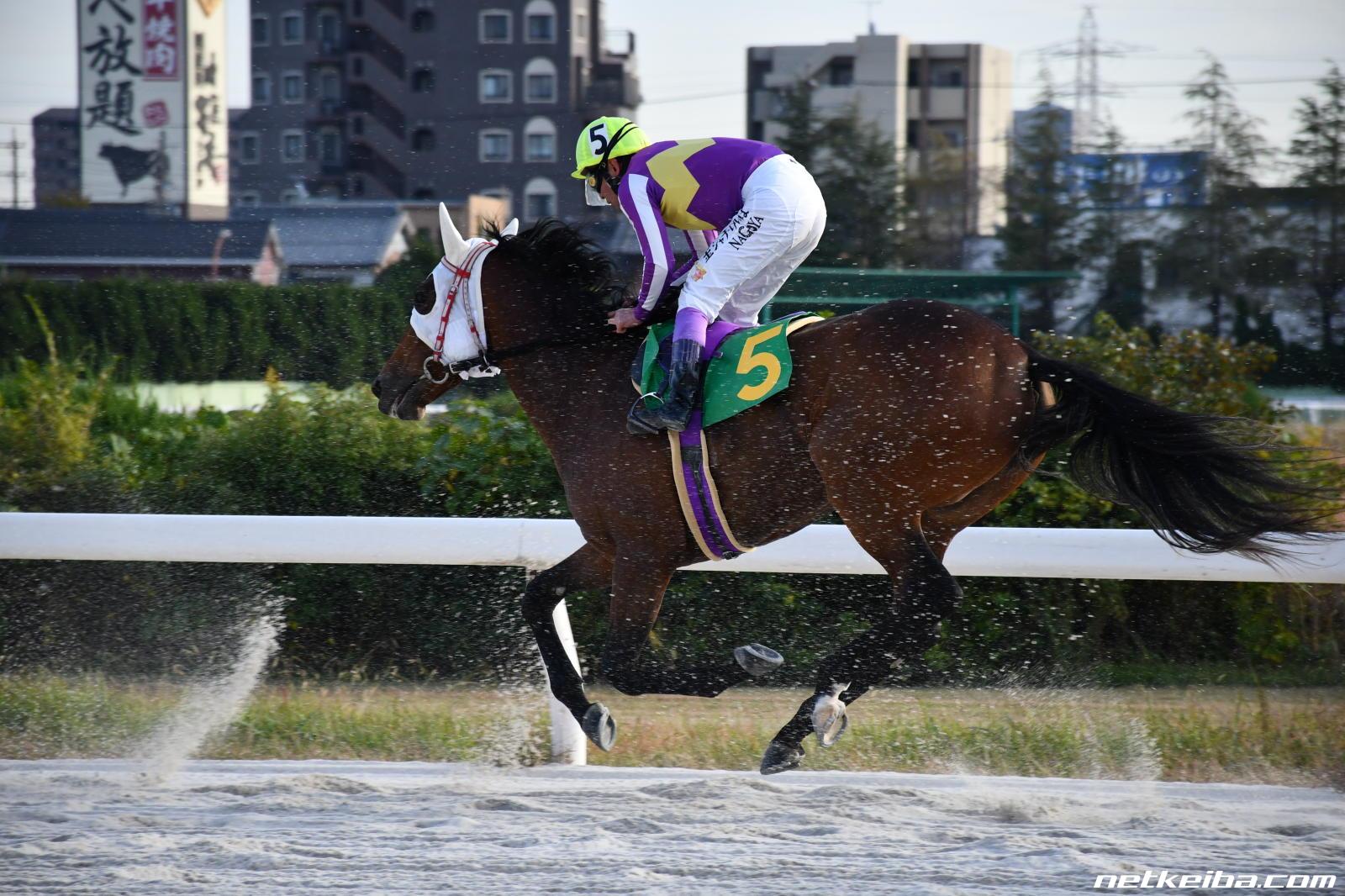 ミラクルキャッシュの写真一覧 Netkeiba Com