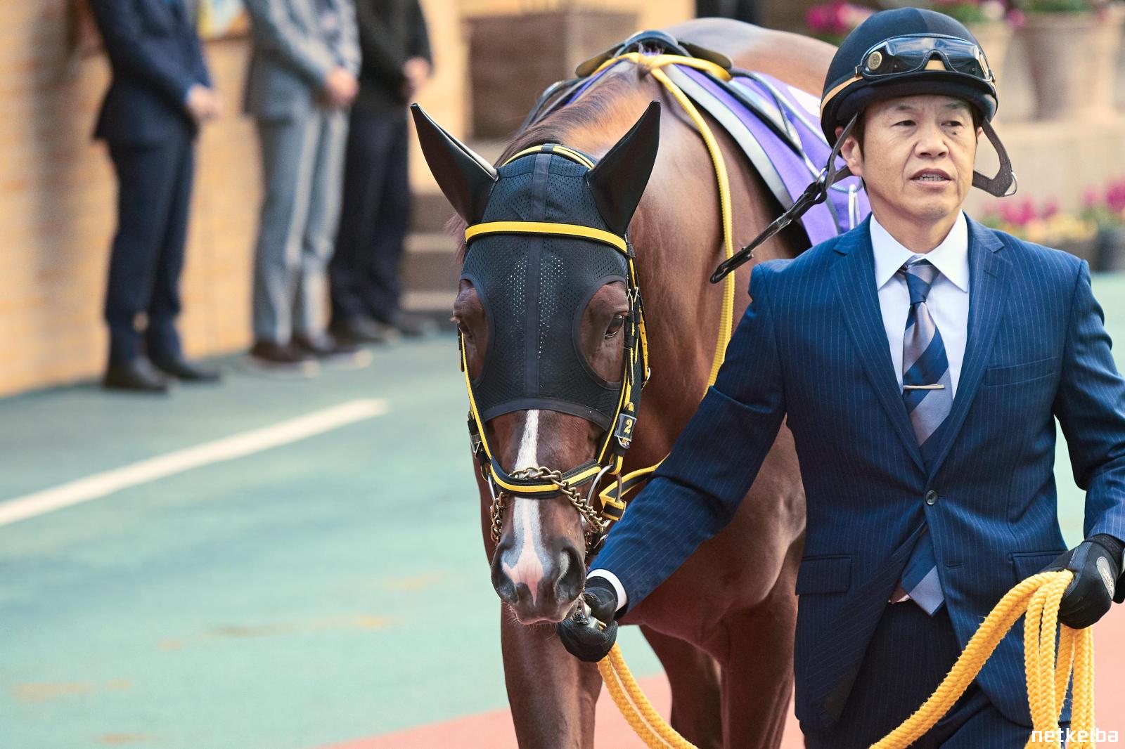メイショウハリオ ワイン 4本セット競馬 馬 JRA ウマ娘 競走馬 メイショウ メイショウハリオ ワイン 4本セット競馬 馬 JRA ウマ娘 競走馬
