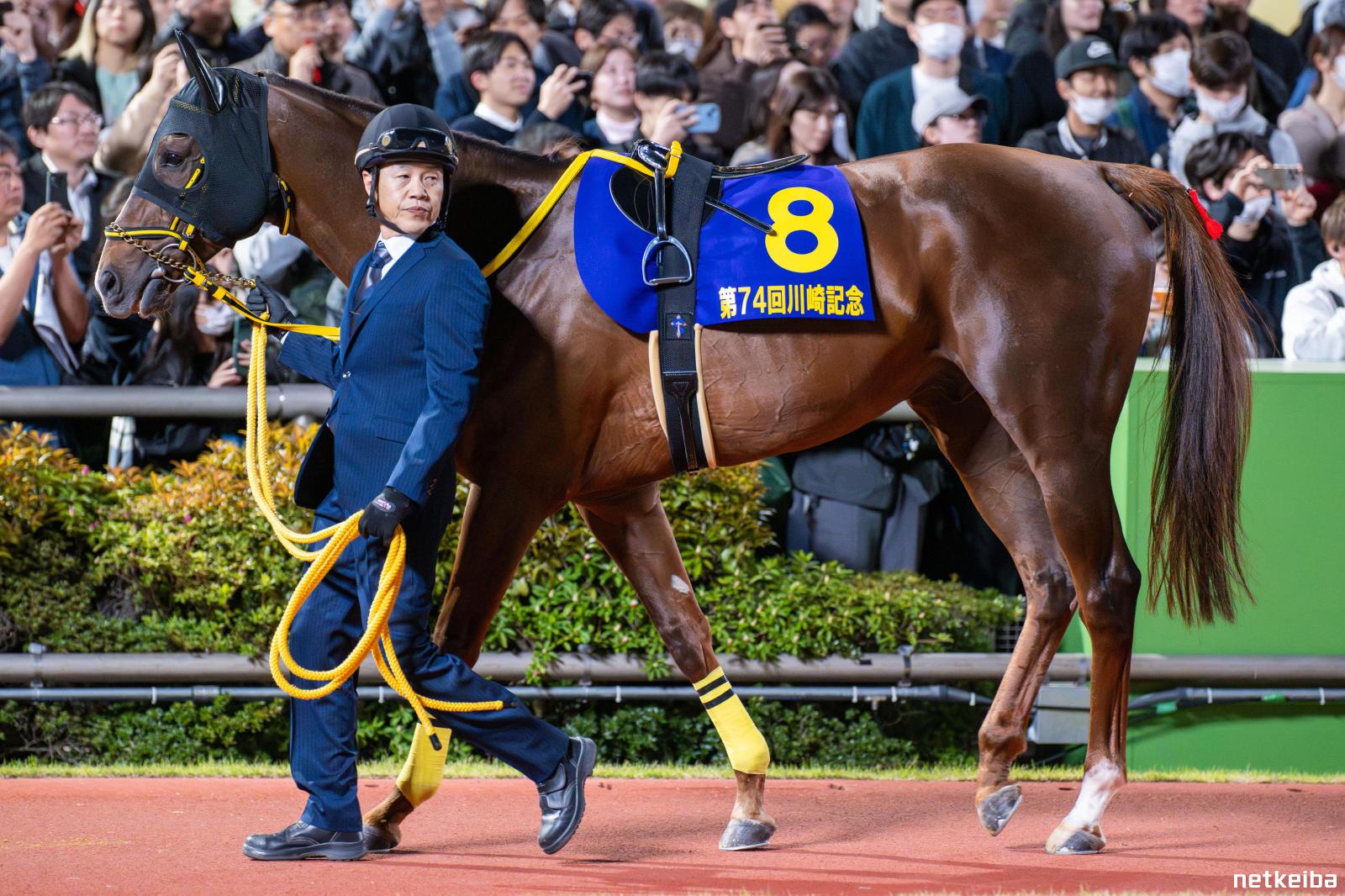 メイショウハリオ ワイン 4本セット競馬 馬 JRA ウマ娘 競走馬
