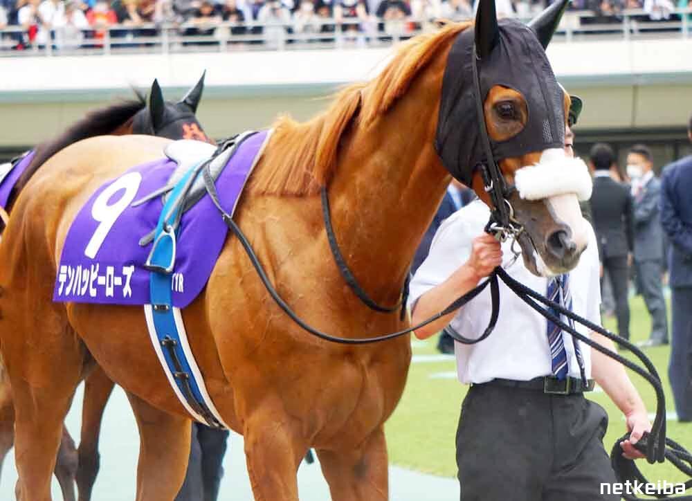テンハッピーローズの写真一覧 - netkeiba