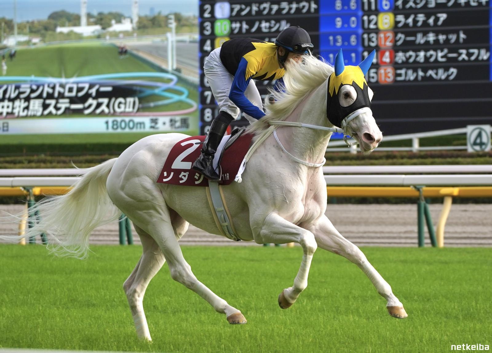 ソダシの写真一覧 - netkeiba