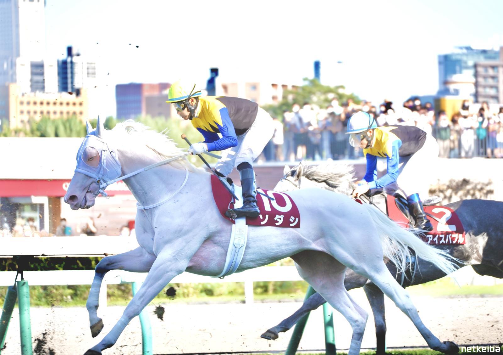 外れ コレクション 好適 東京競馬場 ソダシ 府中牝馬S