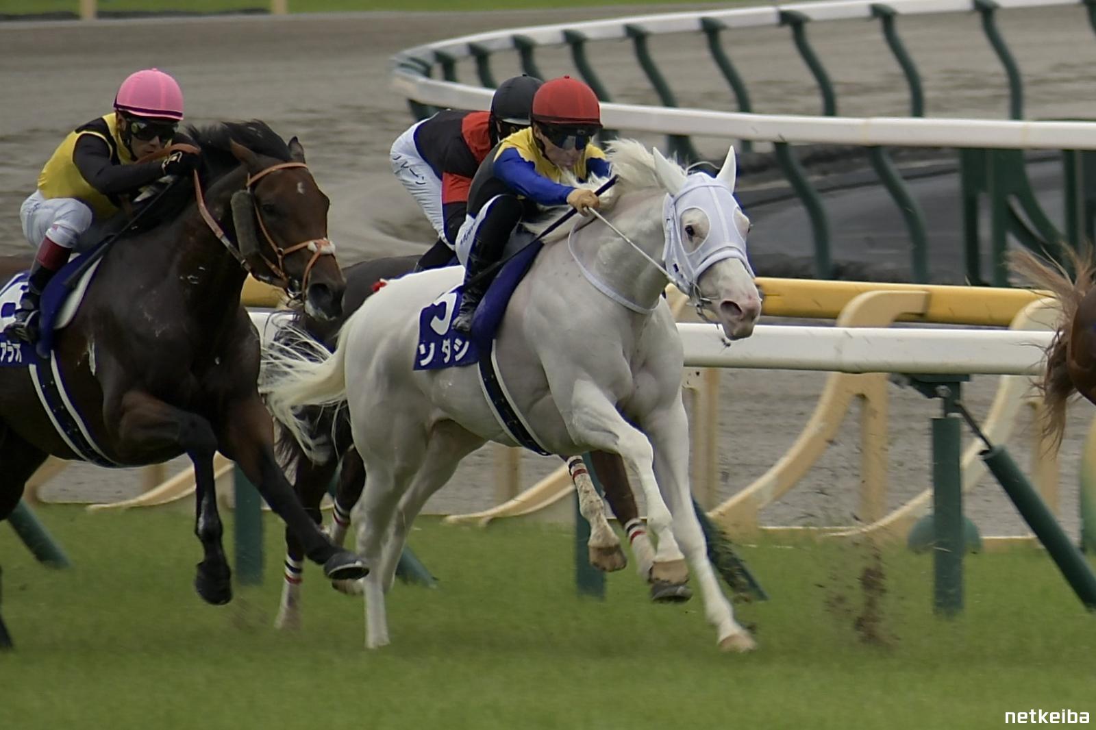 ソダシ写真集 白く強く輝く (廣済堂・競馬コレクション) |本