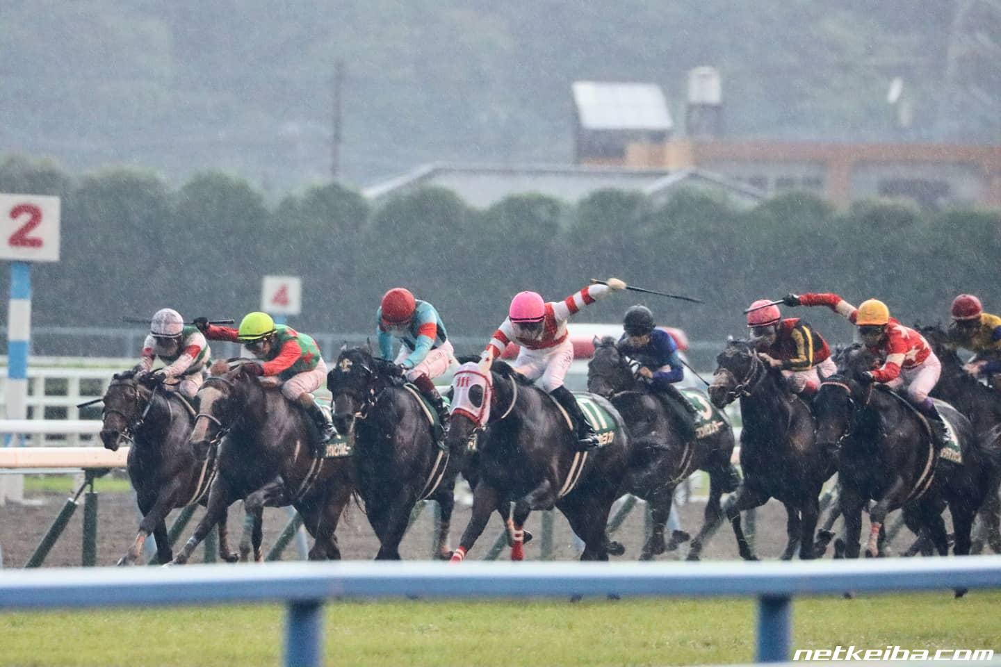 競馬 ヨカヨカ レインボーカード15枚限定 | forstec.com