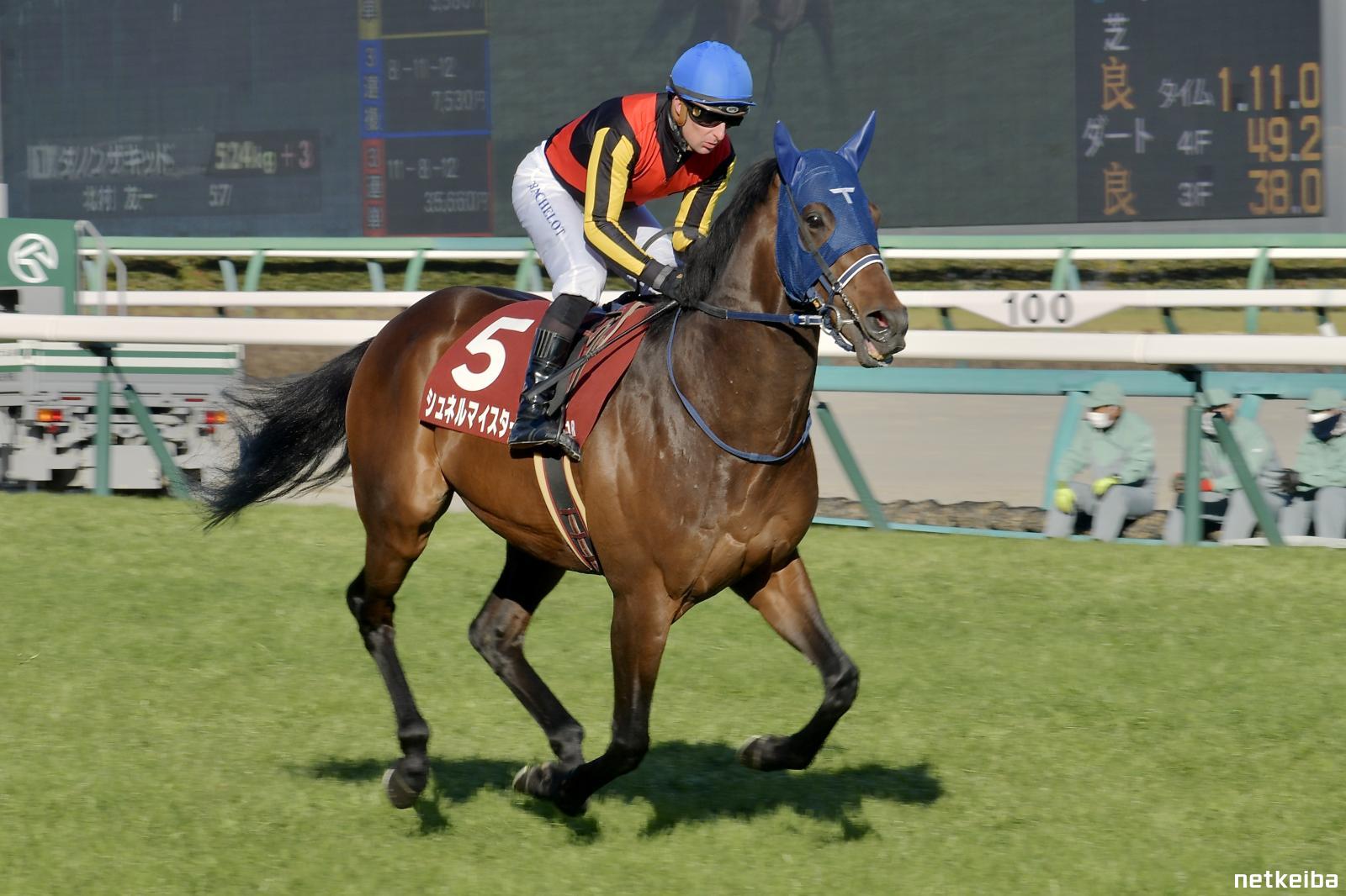 シュネルマイスター引退記念グラフィカルブルゾン（黒/Black） | HORSEGOODSnet