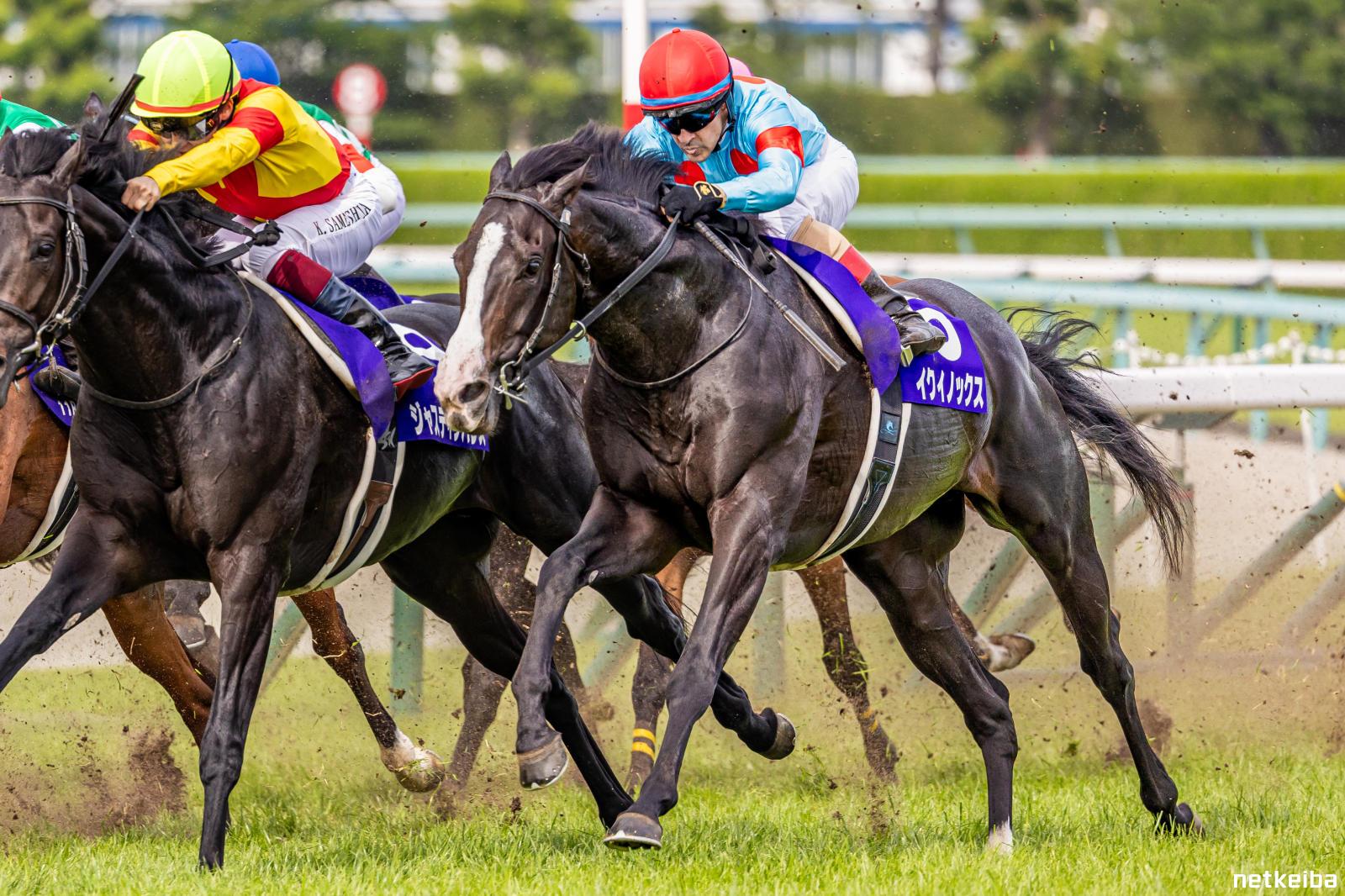 イクイノックスの写真一覧 - netkeiba
