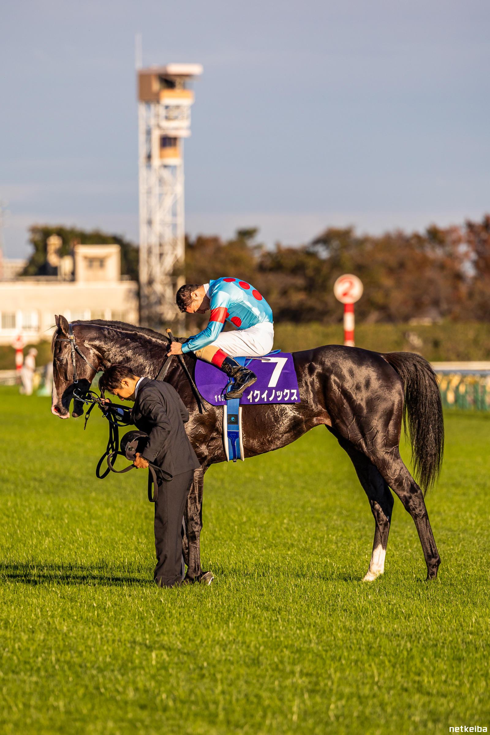 イクイノックス　　鬣 イクイノックス 鬣 イクイノックス (Equinox) | 競走馬データ