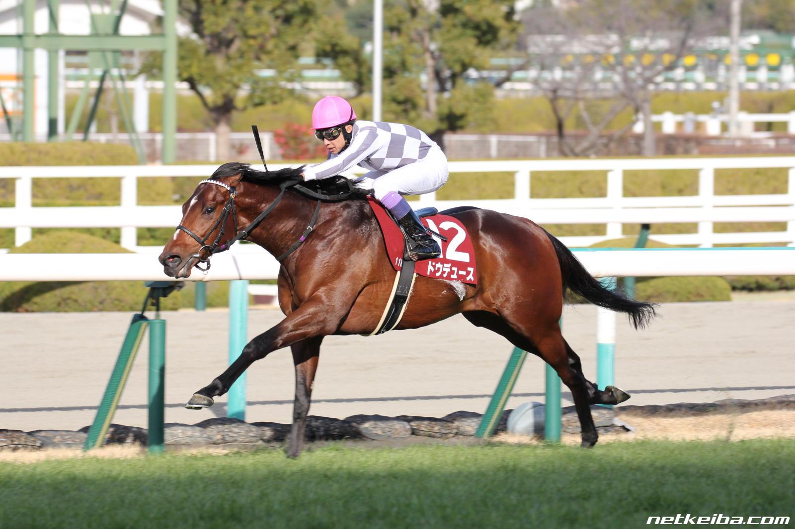 t-mimi-3858様専用 競馬 ドウデュース 写真6枚 cateslaundry.com