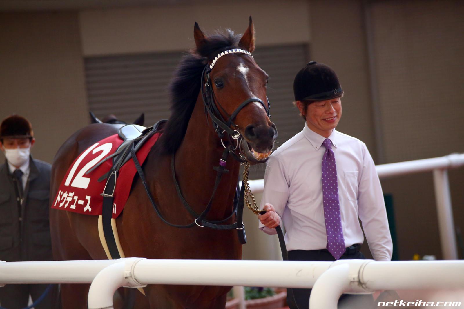 t-mimi-3858様専用 競馬 ドウデュース 写真6枚 cateslaundry.com