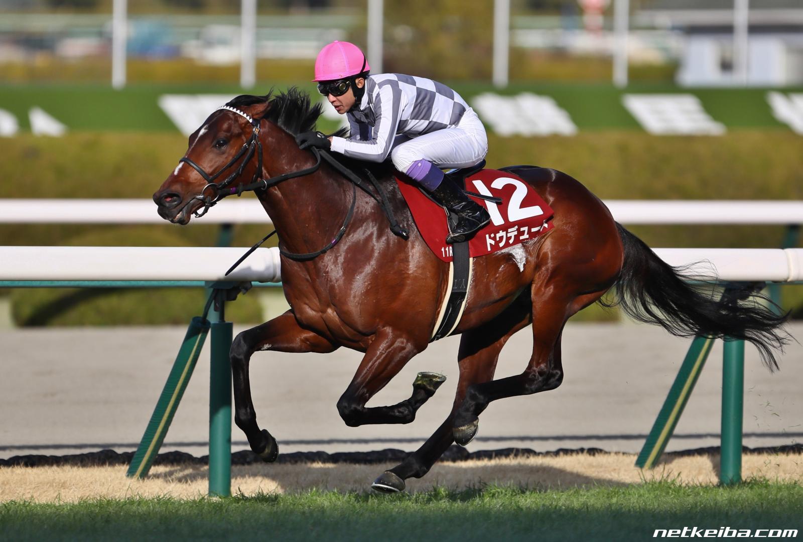 t-mimi-3858様専用 競馬 ドウデュース 写真6枚 cateslaundry.com