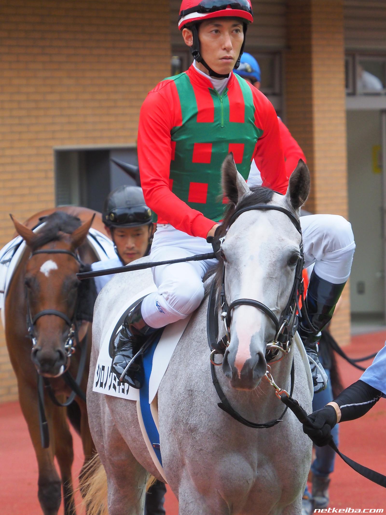 名馬 生写真 写真集 レース写真 種牡馬 競走馬 アルバム 競馬-