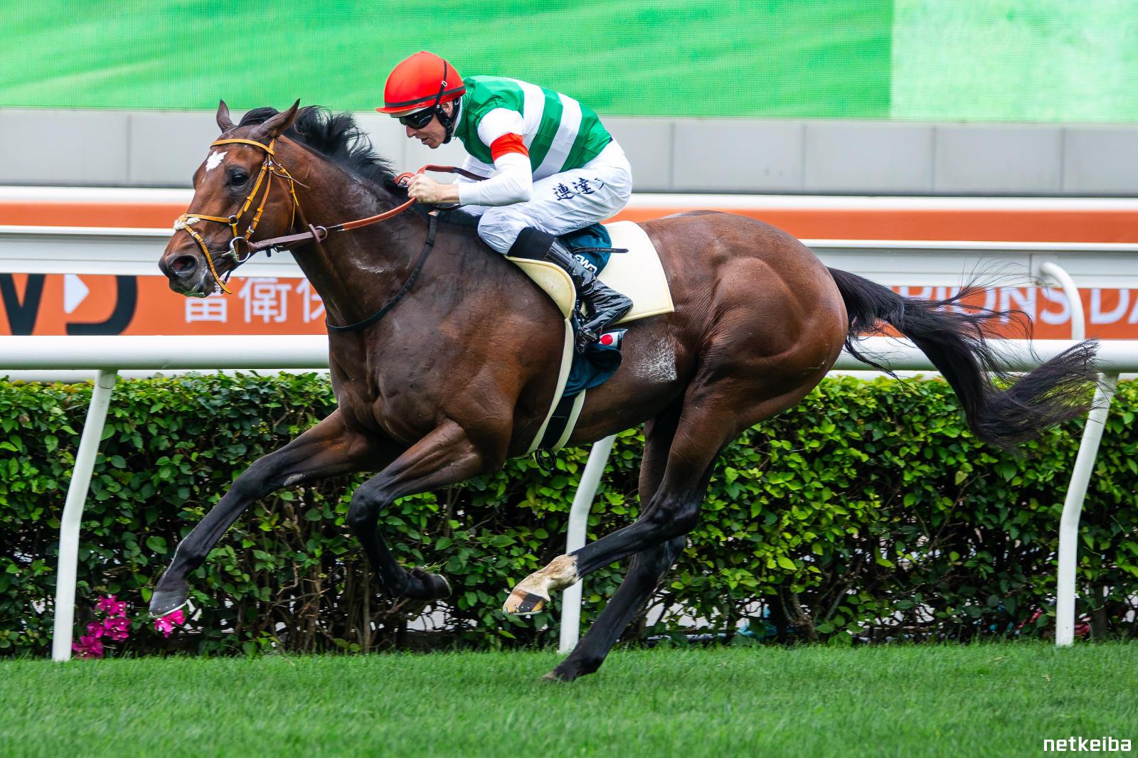 ◇ 競馬 JRA ◇ タスティエーラ ◇ 日本ダービー ◇ マルチ