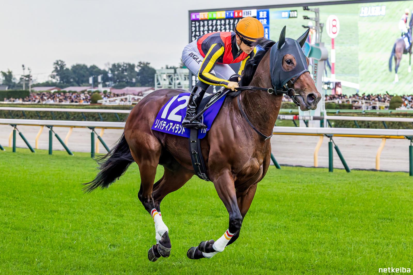 リバティアイランド リバティアイランド（Liberty Island） | 競馬データベース