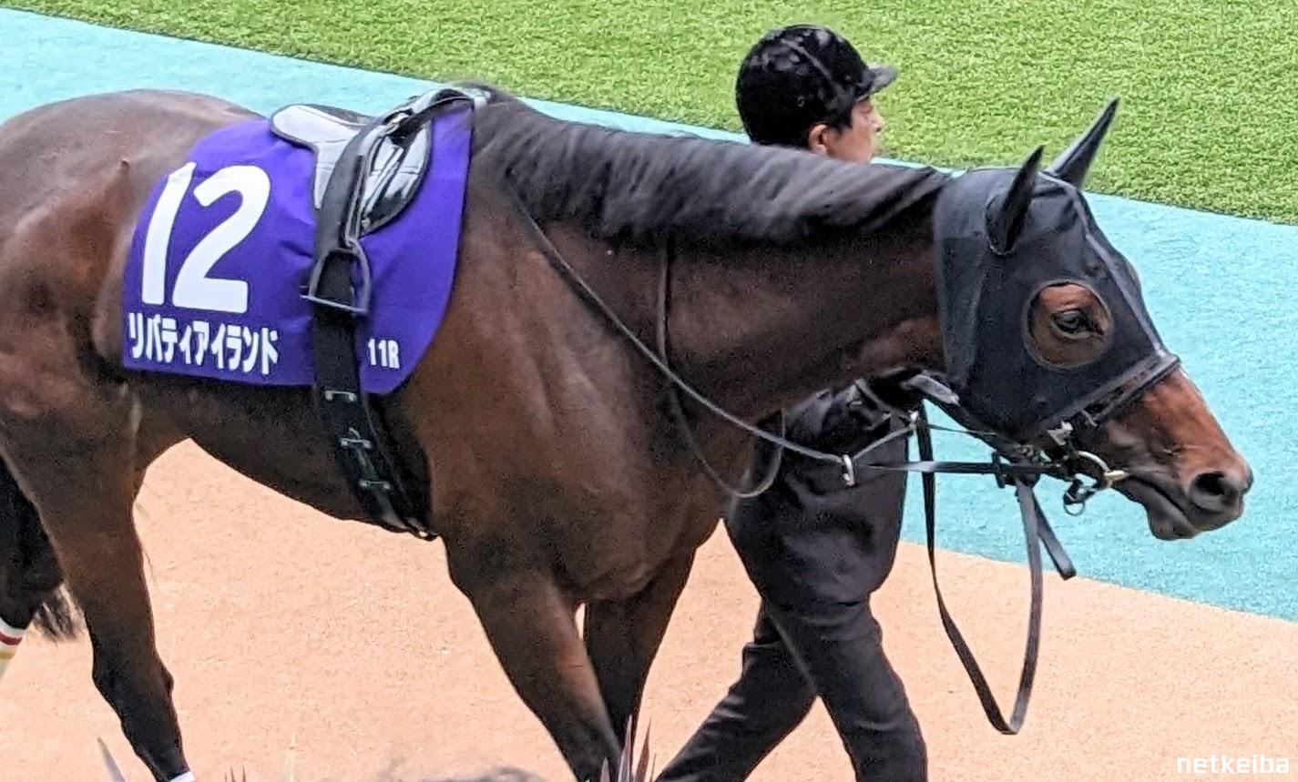 リバティアイランド　セット リバティアイランド セット リバティアイランド - 競馬グッズの