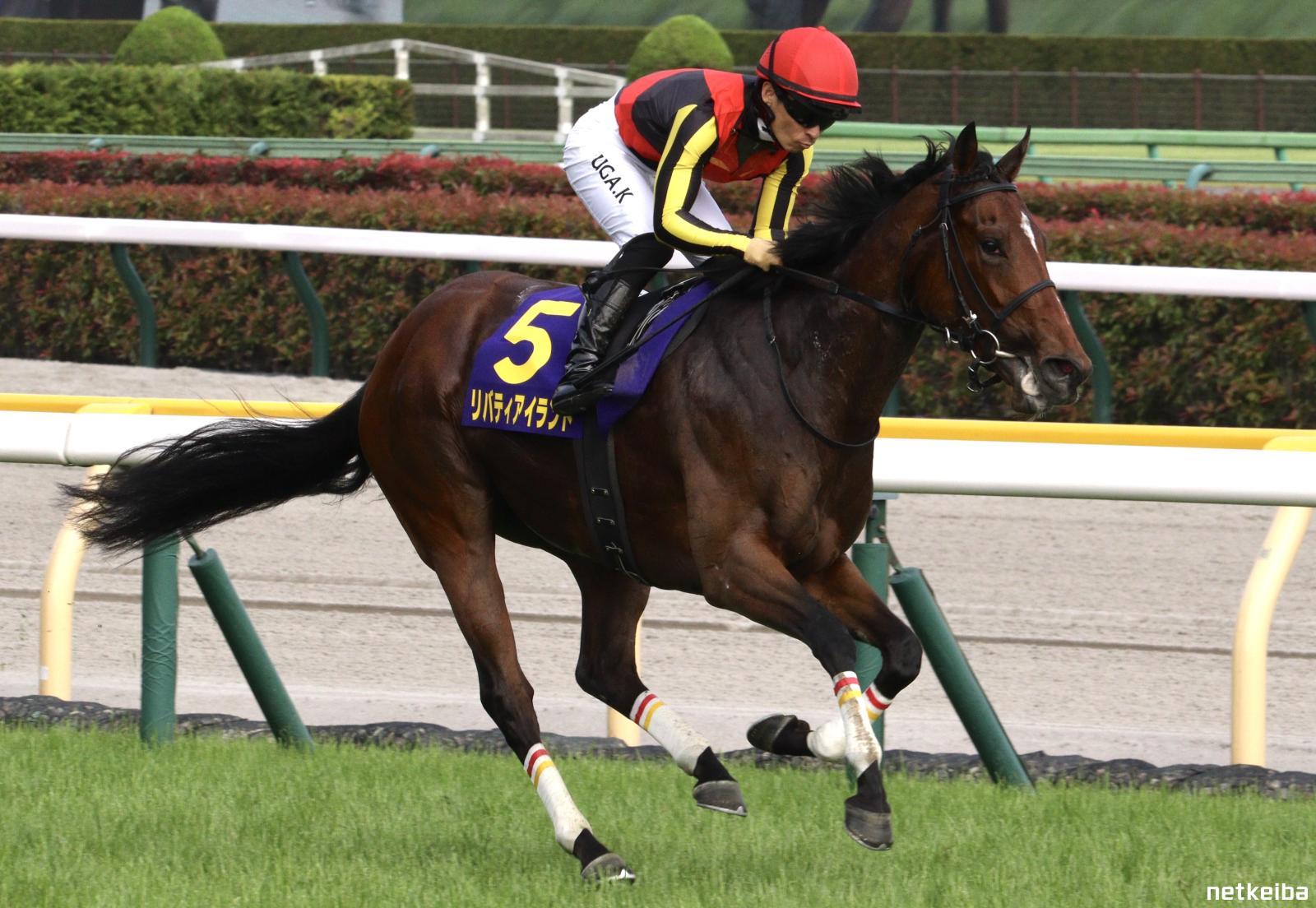 リバティアイランド　セット mqdefault.jpg