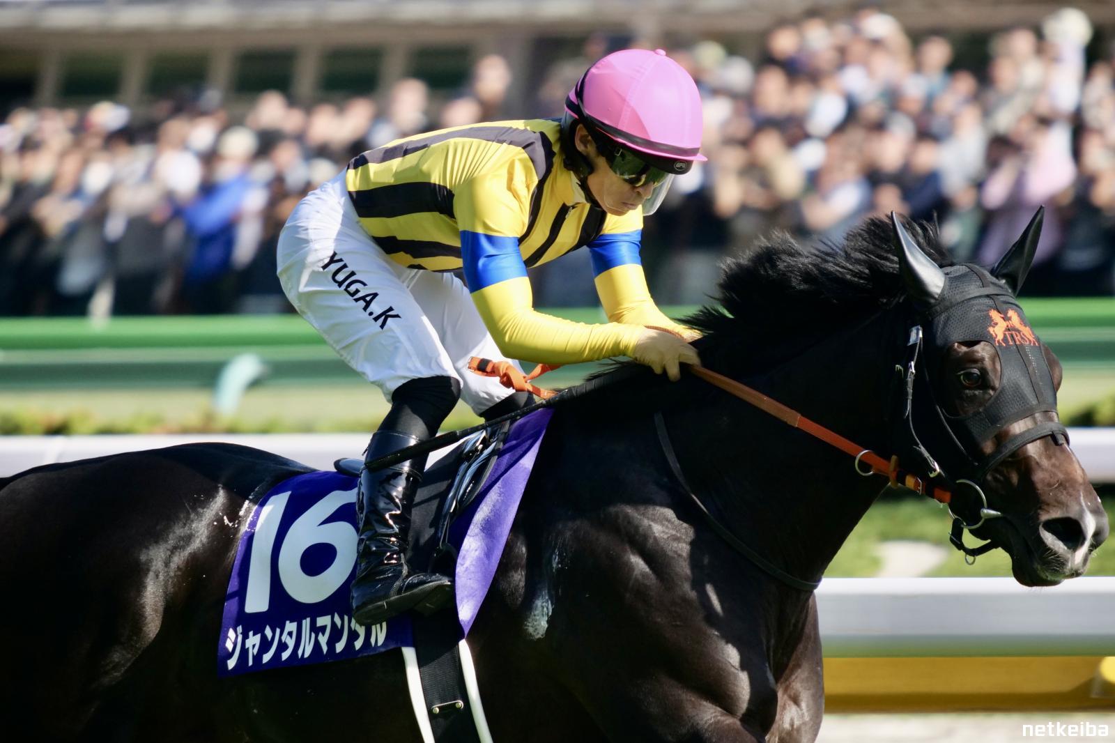 ジャンタルマンタル (競走馬) - Wikipedia
